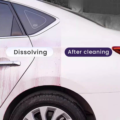 Iron Powder Rust Remover for Car