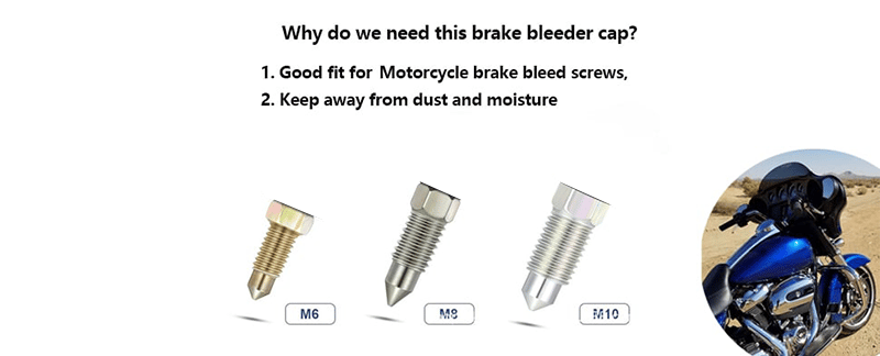 Father's Day Sale 49% OFF - 💥Brake Bleeder Hose One Way Check Valve